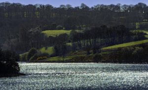 Low winter sun reflected on the sparkling water at Clatworthy reservoir with hills and bare trees in background