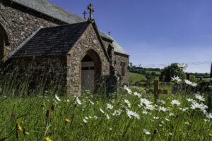 Wild flowers in churchyard with hills in the background