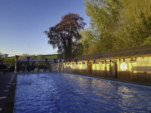 Welcome to WiveyPool