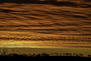 Winter trees silhouetted on ridge at bottom of image, with huge orangey-red bank of clouds above reflecting sunrise