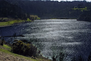 Low winter sun reflected on the sparkling water at Clatworthy reservoir with flowering gorse in foreground